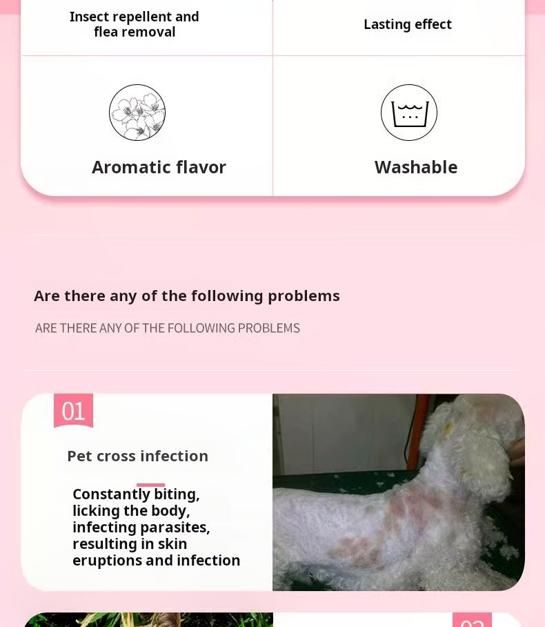 Cat Ring Neck, Cat Ring, Flea and Lice Removal, Mite Removal, Kitten, Meow, Mie, Insect Prevention, Flea and Jumping Removal, Sting Collar, Tick Removal