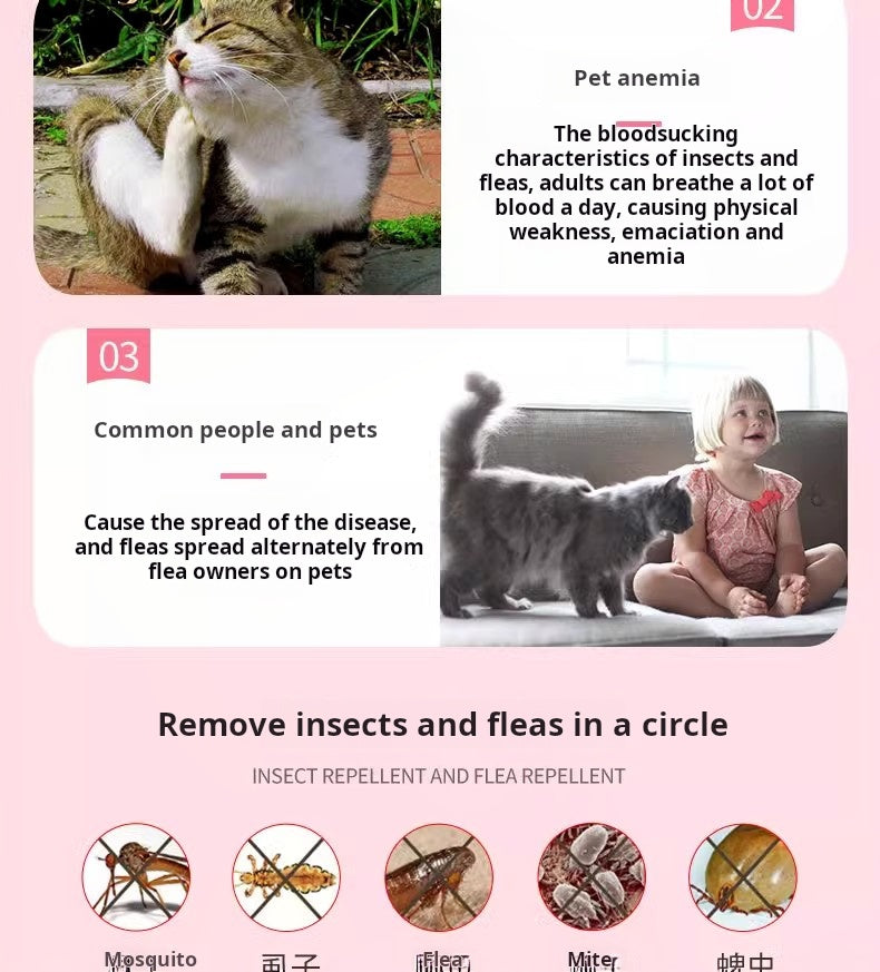 Cat Ring Neck, Cat Ring, Flea and Lice Removal, Mite Removal, Kitten, Meow, Mie, Insect Prevention, Flea and Jumping Removal, Sting Collar, Tick Removal